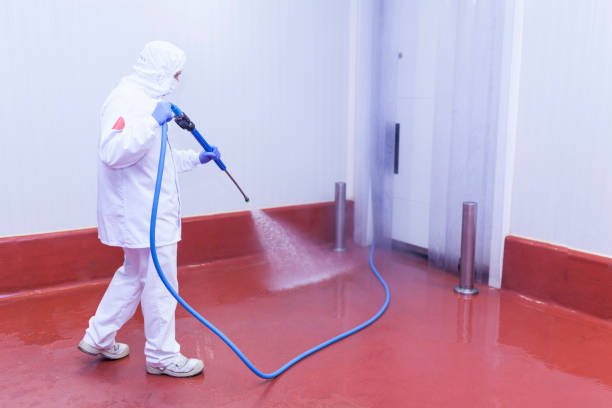 Best Playground Equipment Cleaning  in Pleasant Hill, TX